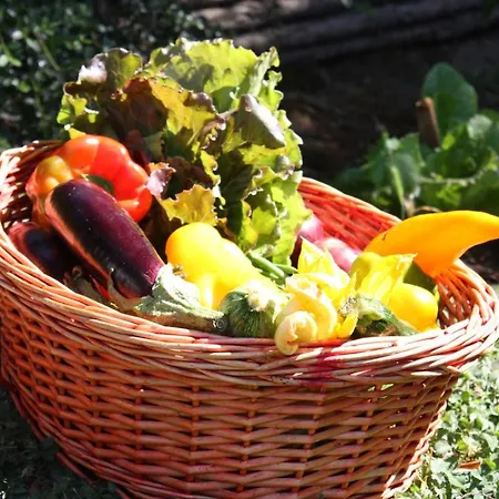 Lupara Κατάλυμα σε φάρμα